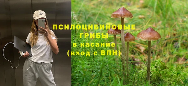 прущие крисы Баксан