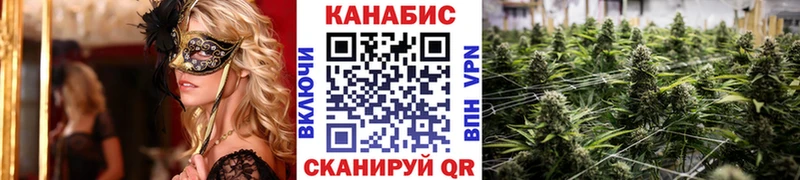 где купить наркотик  Шацк  Шишки марихуана MAZAR 